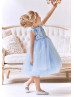 Feifei Sleeves Sky Blue Tulle Floral Flower Girl Dress